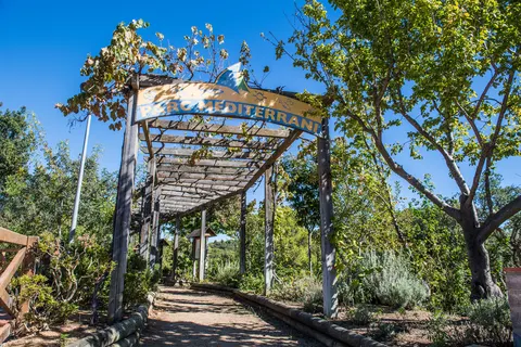 Camping Cala Llevado foto 20