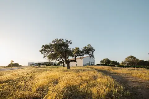 Herdade dos Delgados in Mourão — foto 22