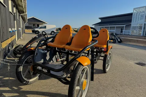 Dancamps Nordsø in Hvide Sande — foto 17