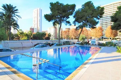 Las Damas in Benidorm — foto 23