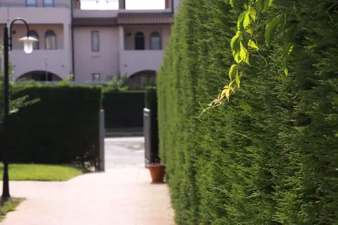 Residenza dei Cavalleggeri in San Vincenzo — foto 26