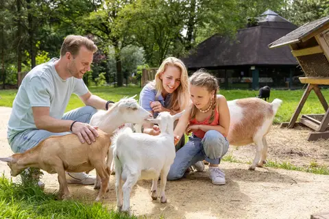 Center Parcs Het Heijderbos in Heijen — foto 14