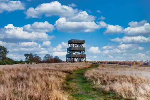 Fietsvakantie Giethoorn en 3 Nationale Parken foto 13