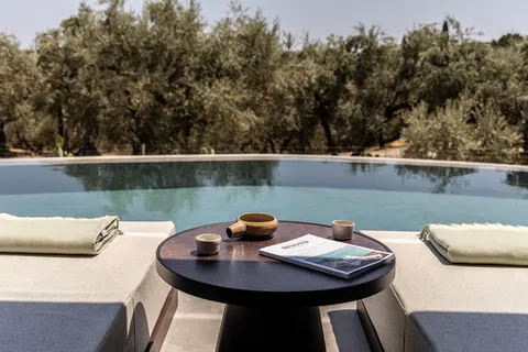 King Jason Zante foto 3