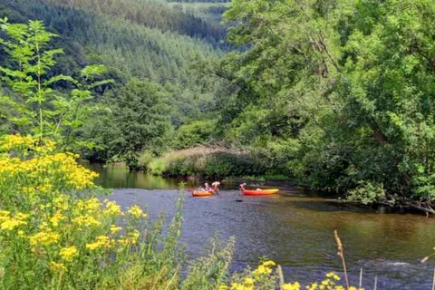 Camping Floreal La Roche-en-Ardenne foto 3