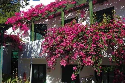 Villea Village in Δημοτική Ενότητα Μακρύ Γιαλού
