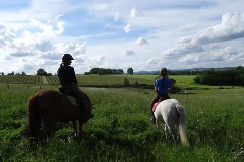 Camping La Roudelière foto 17