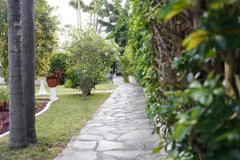 RF San Borondón in Puerto De La Cruz — foto 5