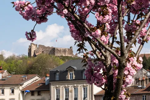 Ontdek Elzas en Vogezen foto 7