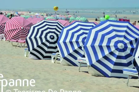 ibis De Panne foto 28