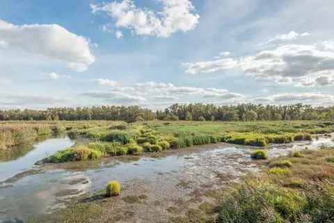 Hotel De Brabantse Biesbosch in Werkendam — foto 10