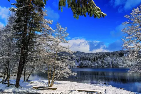 Kerst in het Zwarte Woud, Endingen foto 3