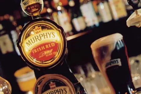 Villa Westerduin foto 19