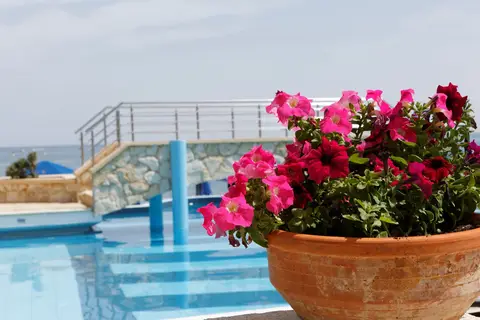 Indigo Mare in Πλατανιάς — foto 10
