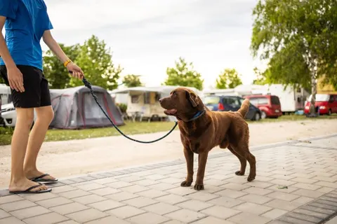 Thermalpark Dunajská Streda in Dunajská Streda — foto 22