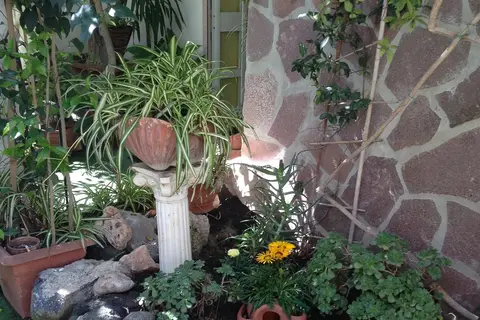 Villa Diana Rooms in Ischia, foto 6
