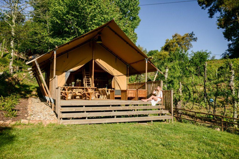 Casa Fontelheira foto 12