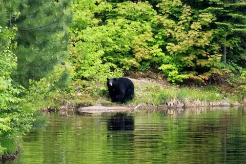 An epic roadtrip from Quebec to Nova Scotia foto 1