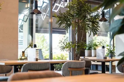 Hotel Rosveld foto 15