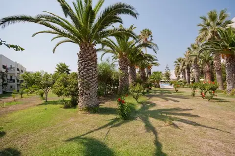 Tigaki Beach in Τιγκάκι — foto 18