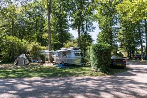 Les Bois Du Bardelet in Poilly-lez-Gien — foto 19