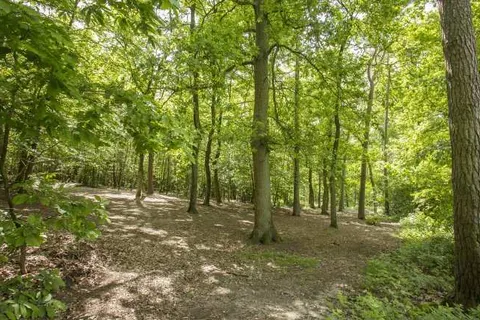 Hotel De Bilderberg foto 21