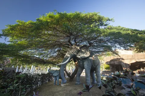 Resort Hotel Lopesan Baobab foto 2