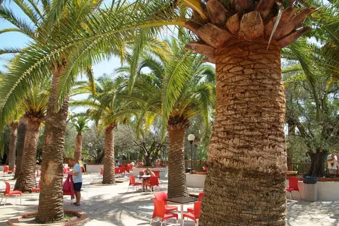 La Baume-la Palmeraie in Fréjus — foto 16