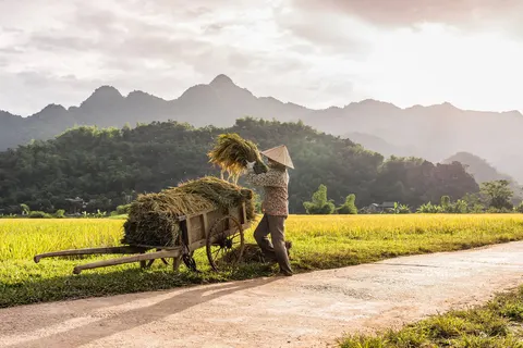 Traditioneel Vietnam in Vietnam