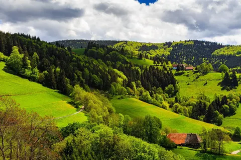Alpirsbach in het Zwarte Woud foto 18