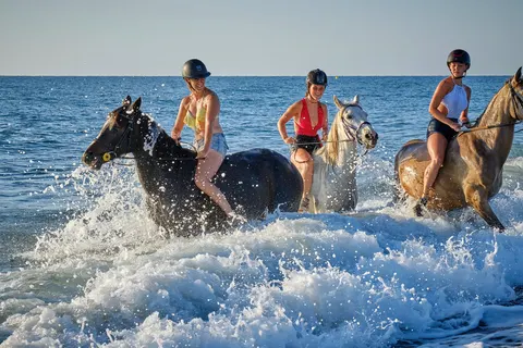 Camping Le Domaine D Anghione foto 12