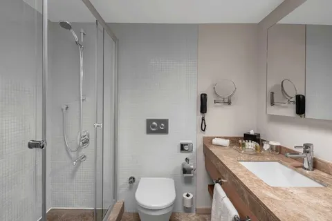 Dedeman Istanbul Hotel in İstanbul — foto 9