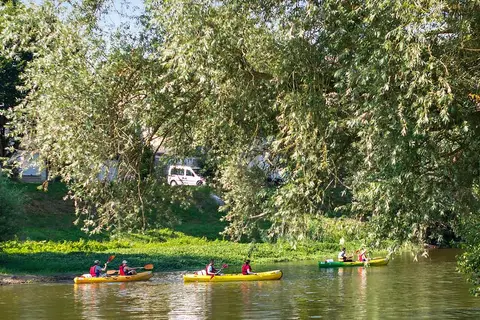 Les Plages De Loire in Rochefort-sur-Loire — foto 12