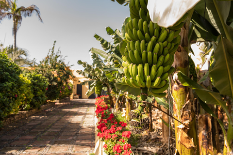 Casa Amarilla foto 18