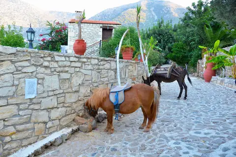 Stone Village Petrino Horio in Μπαλί — foto 30