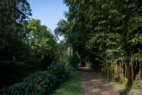 Cantos Green Garden in Povoação — foto 20