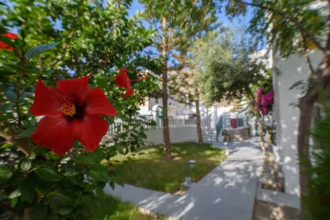 Iris Hotel in Δημοτική Ενότητα Θήρας — foto 4