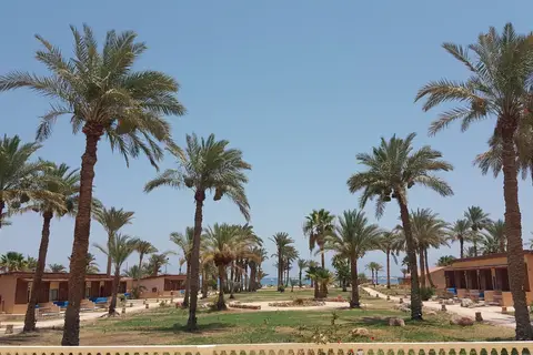 Nuweiba Club Resort in نويبع — foto 10