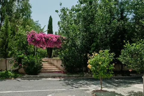 Artemis Cynthia Complex in Paphos — foto 13