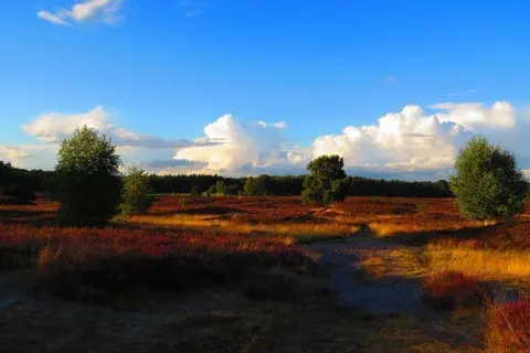 Hotel Wildeshauser Hof foto 17