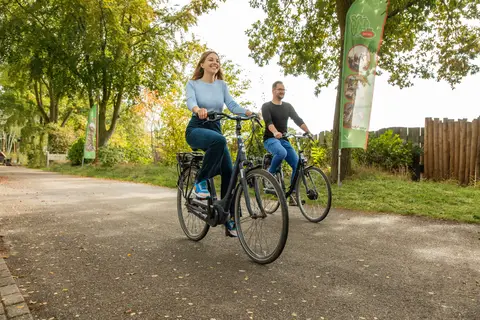 Center Parcs Limburgse Peel in America — foto 20