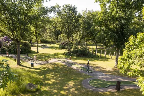 Camping De Bergen foto 26