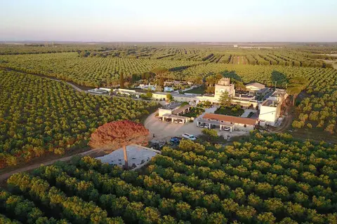 Tenuta Mazzetta Agriturismo in Brindisi — foto 10