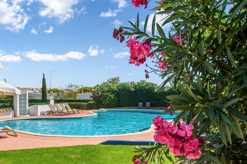 Appartementen Quinta do Paraiso foto 9