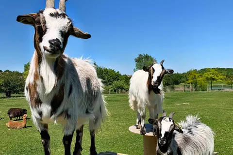 Hotel Campanile Val de France foto 13