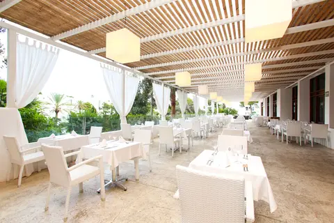 Sentido Fido Tucan in Santanyí — foto 13