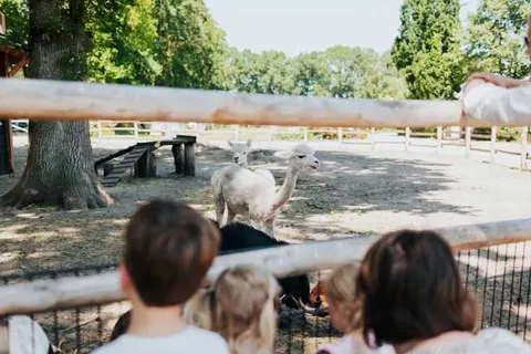 Recreatiepark Het Eperwoud foto 18