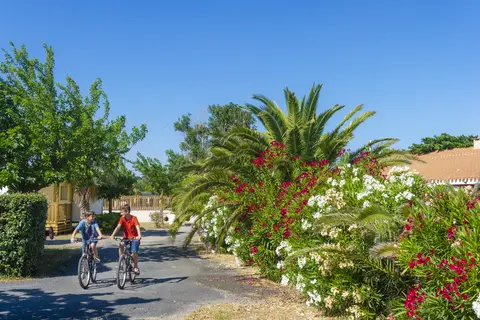 Camping Novela Port La Nouvelle in Port-la-Nouvelle — foto 15