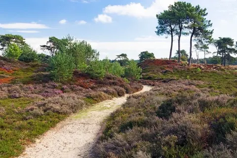 Van der Valk Hotel Drachten foto 23