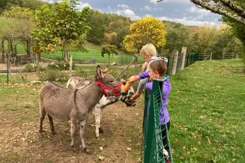 Camping Fargogne foto 3